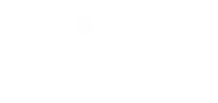 Logo de Digital Electric, fabricant français de matériel électrique basse tension